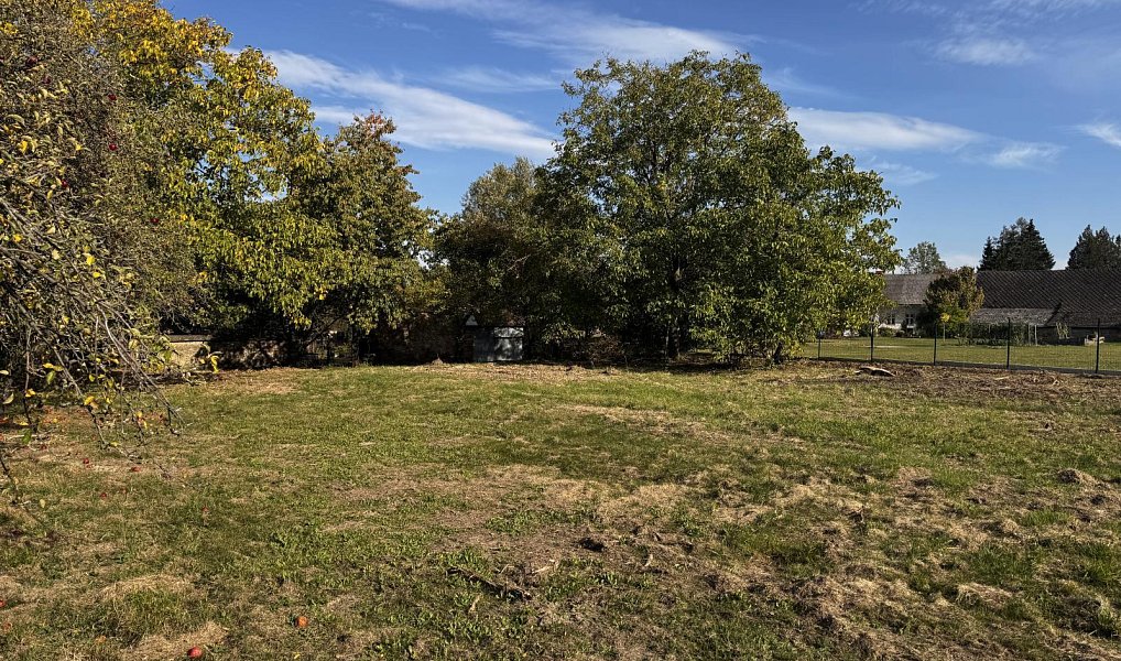 Prodej stavebního pozemku 2 092 m², Golčův Jeníkov – náhled fotky 9