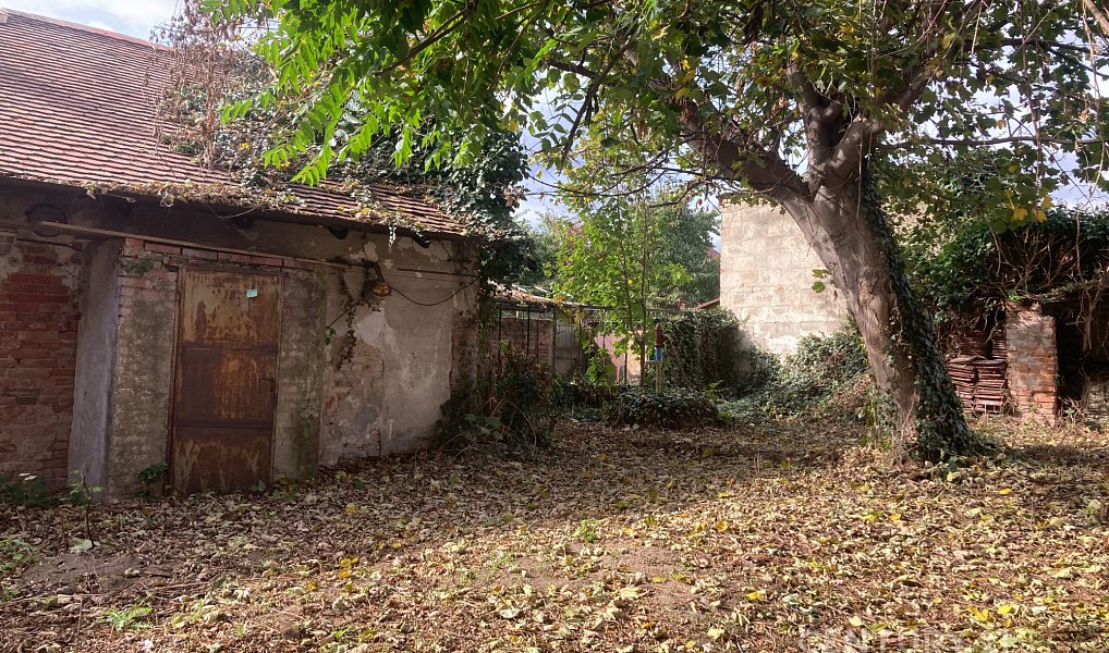 Prodej restaurace 200 m², Hrušovany u Brna – náhled fotky 6