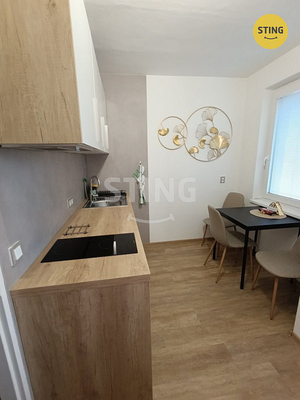 Pronájem bytu 1+1 36 m² - Widok 5