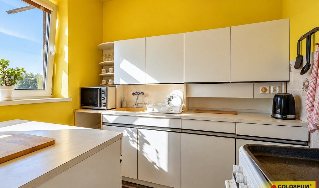 Prodej domu 47 m² s pozemkem 724 m², Hrušovany nad Jevišovkou – náhled fotky 3