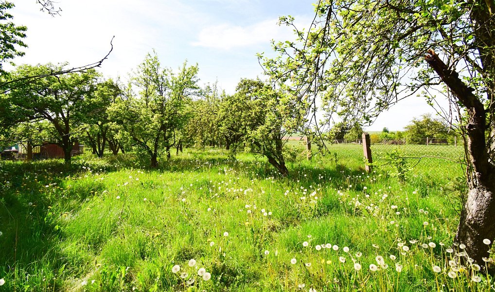 Prodej stavebního pozemku 2 033 m², Ronov nad Doubravou – náhled fotky 2