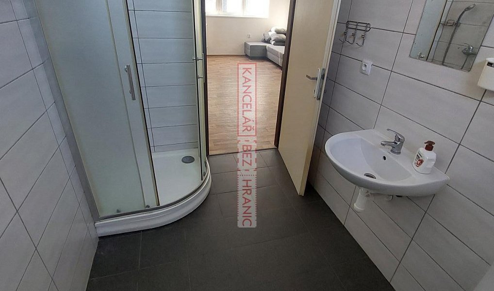 Pronájem bytu 1+1 40 m², Boršice – náhled fotky 7
