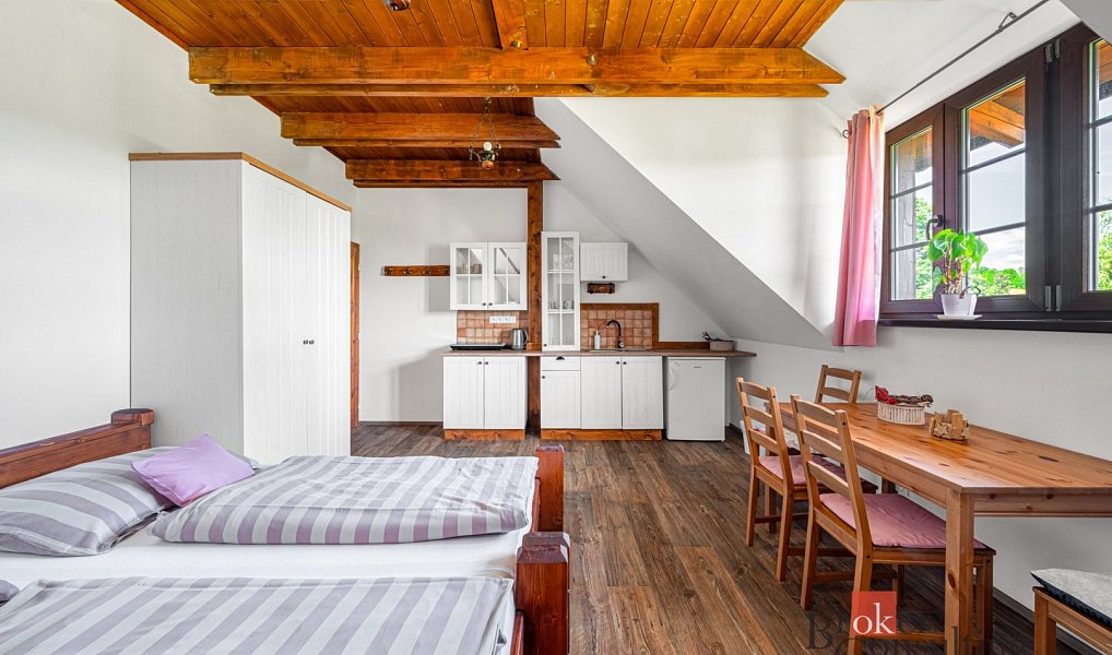 Prodej domu 294 m² s pozemkem 2 400 m², Zdíkov – náhled fotky 21