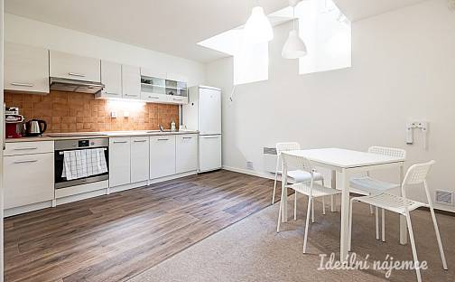 Pronájem bytu 1+kk 63 m², Mánesova, Praha 2 - Vinohrady