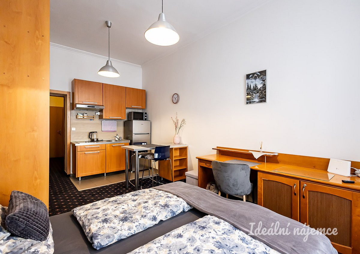 Pronájem bytu 1+kk 26 m² – fotografie 2