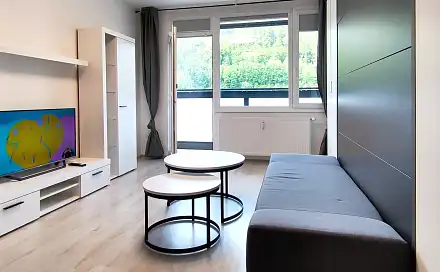 Pronájem bytu 1+kk 30 m², Karla Čapka, Děčín - Děčín I-Děčín