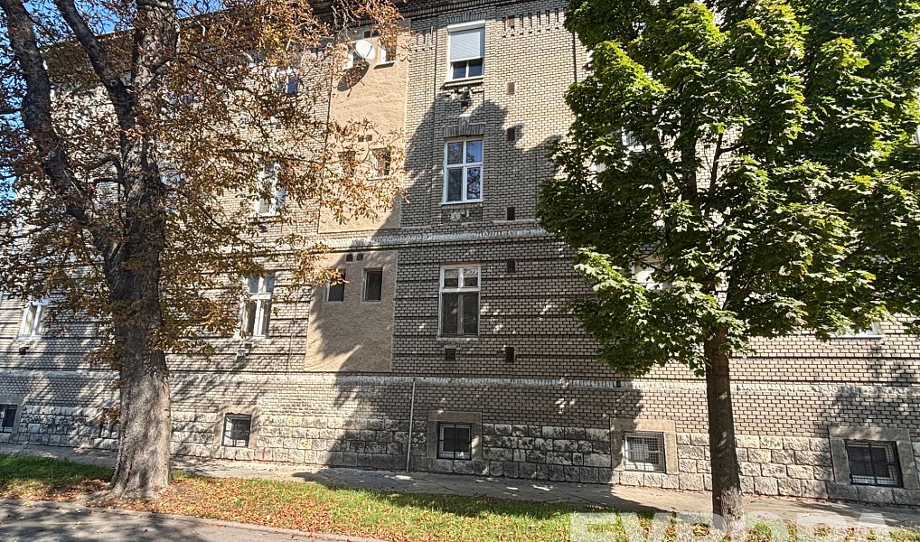 Pronájem bytu 1+1 65 m², Břeclav – náhled fotky 4