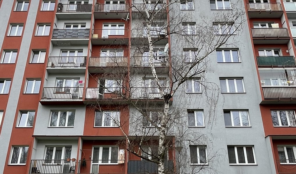 Prodej bytu 2+1 56 m², Ostrava – náhled fotky 2