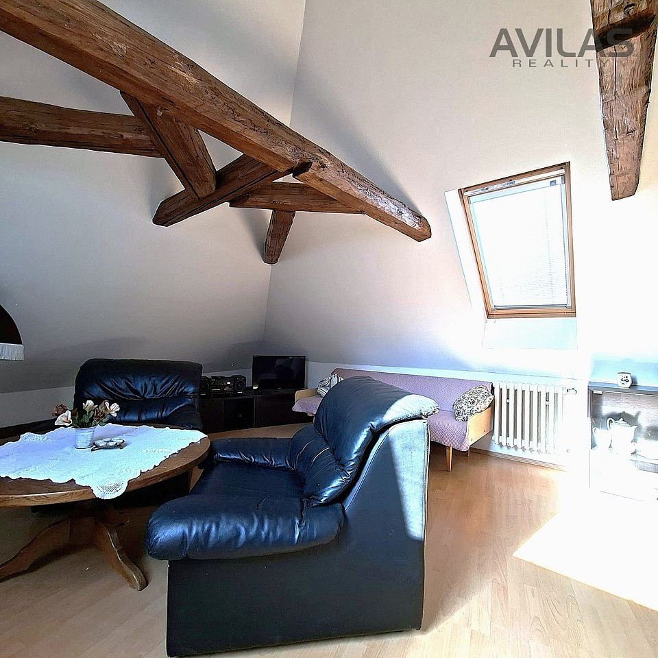 Pronájem bytu 1+kk 48 m² – fotografie 3