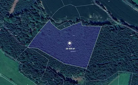 Prodej lesa 25 533 m², Krouna, okres Chrudim