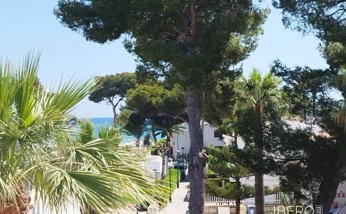 Prodej bytu 6+kk 2 040 m², Muro, Španělsko