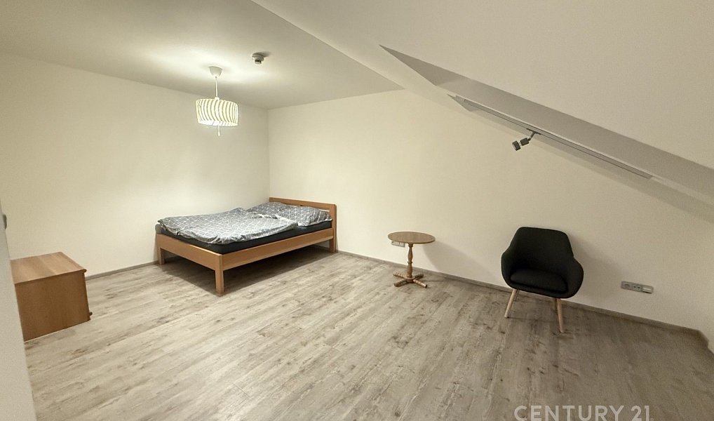 Pronájem bytu 1+kk 48 m², Tachlovice – náhled fotky 4