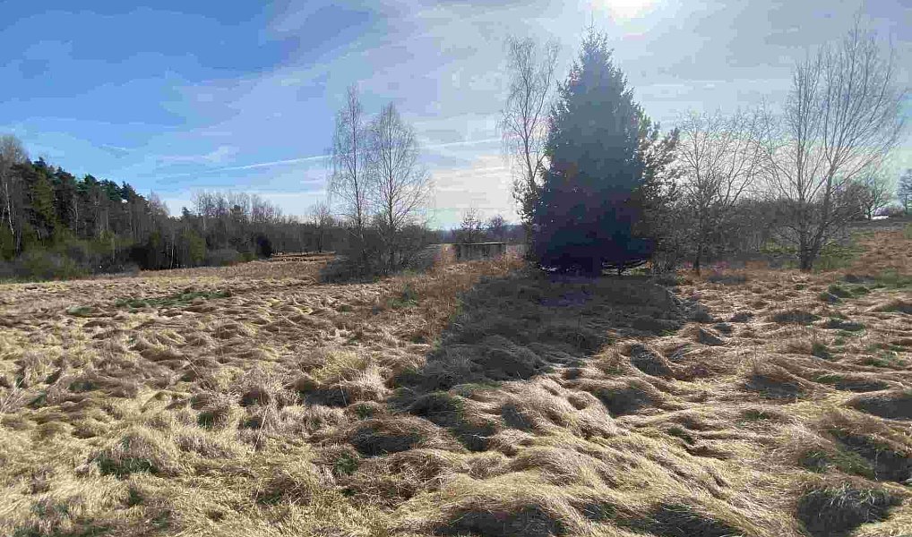Prodej pole 15 408 m², Františkovy Lázně – náhled fotky 5