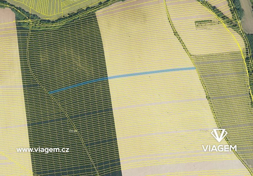 Prodej pole 1 354 m² – fotografie 3