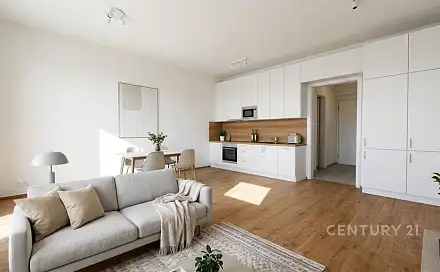 Pronájem bytu 1+kk 39 m²
