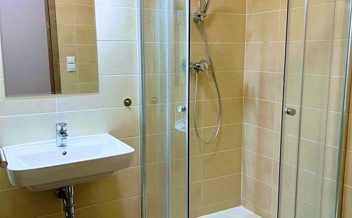 Prodej bytu 1+kk 36 m², Edvarda Beneše, Olomouc - Řepčín