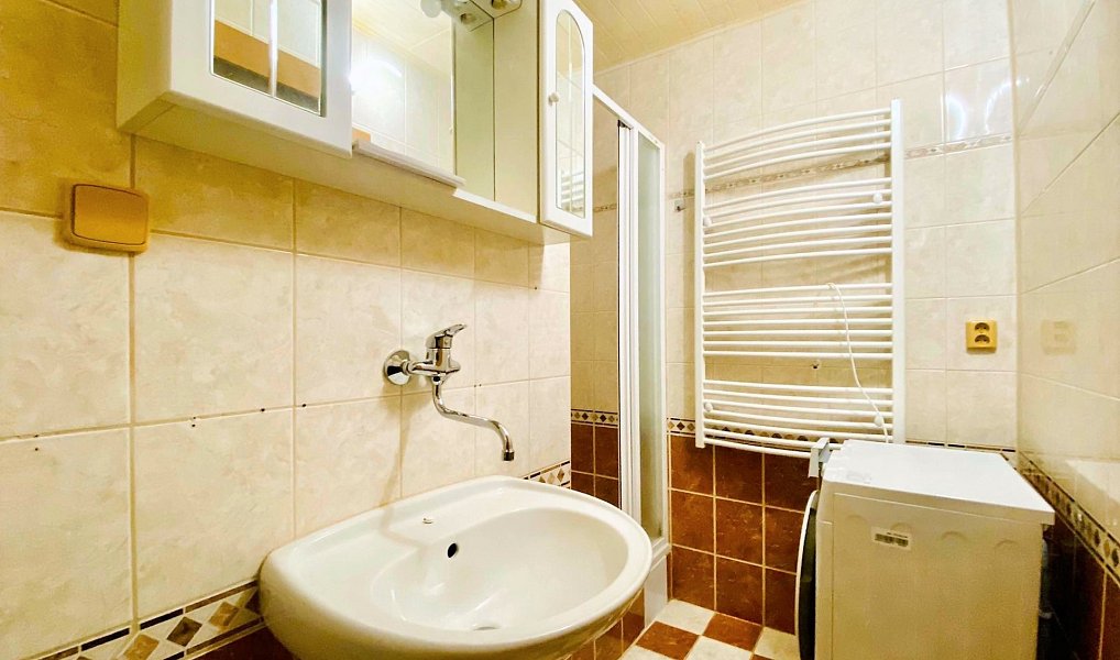 Pronájem bytu 1+1 45 m², Brno – náhled fotky 4