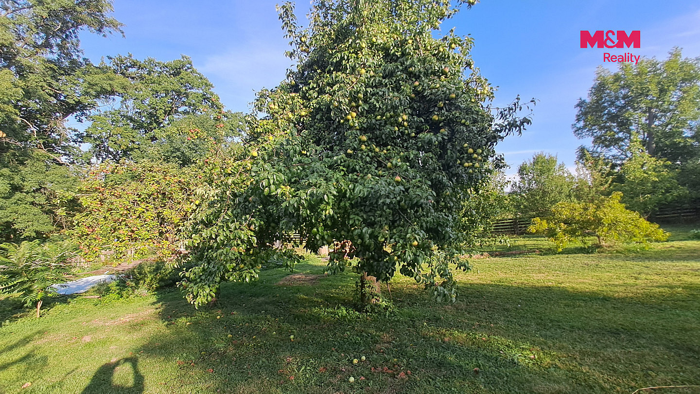 Prodej stavebního pozemku 791 m² – fotografie 3