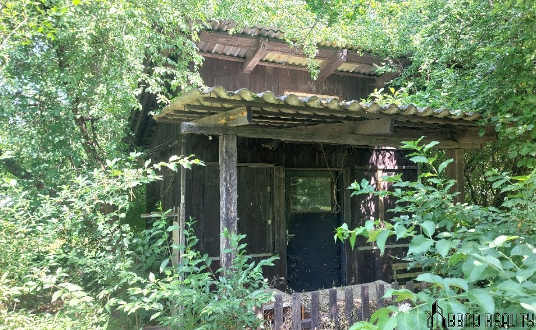 Fotka 10 z 10
