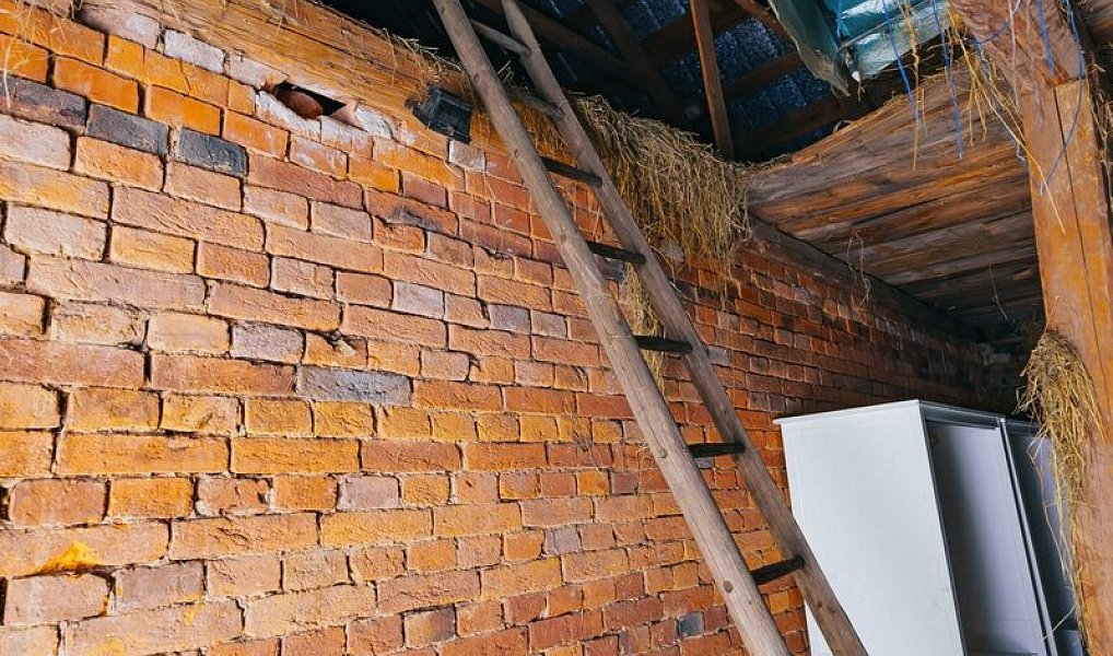Prodej domu 192 m² s pozemkem 2 495 m², Dlouhá Loučka – náhled fotky 26