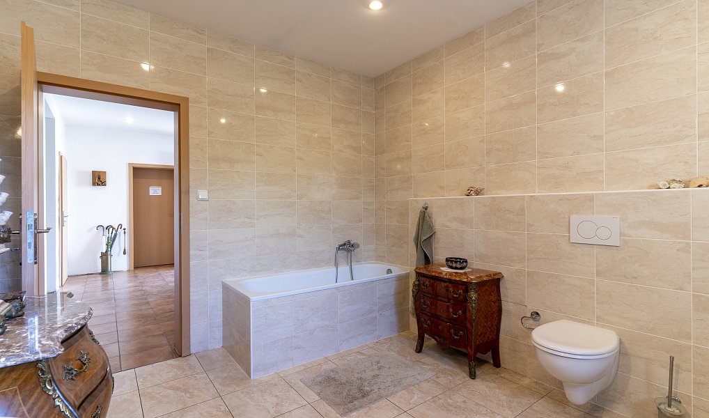 Pronájem domu 382 m² s pozemkem 515 m², Stehelčeves – náhled fotky 9