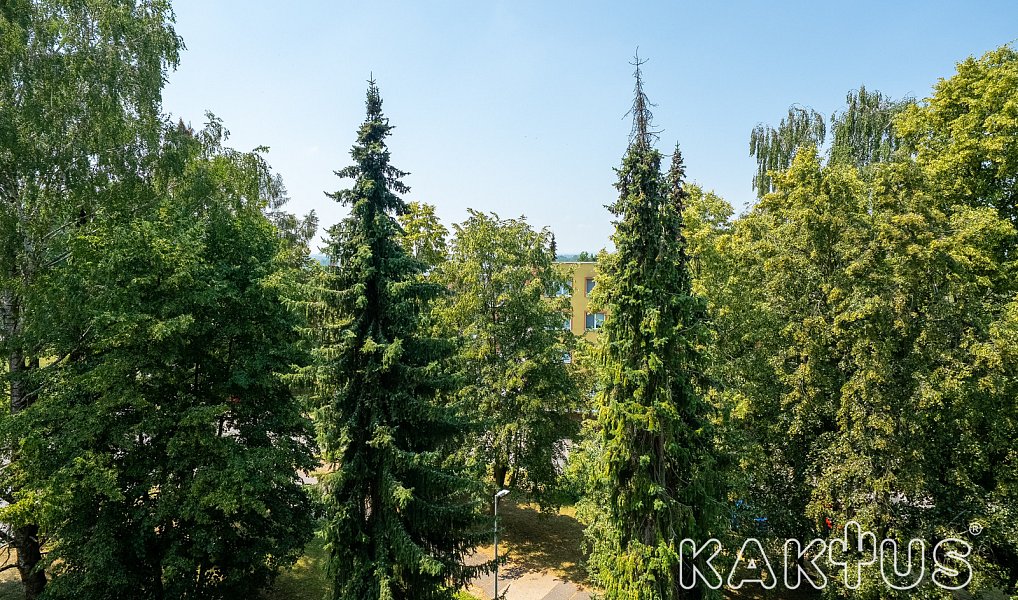 Prodej bytu 1+1 38 m², Ostrava – náhled fotky 18