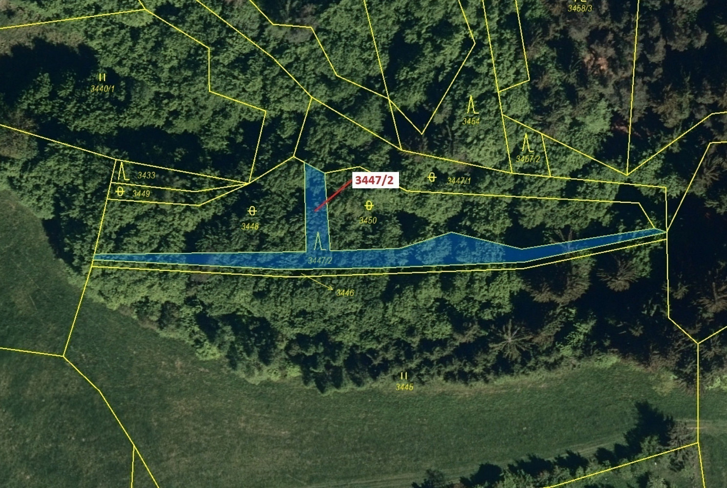 Dražba lesa 550 m² — photo 2