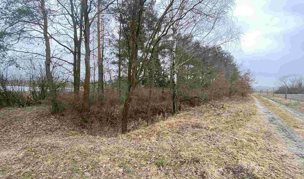 Prodej pozemku, 2121 m², Albrechtice - Strakonice, Drahonice