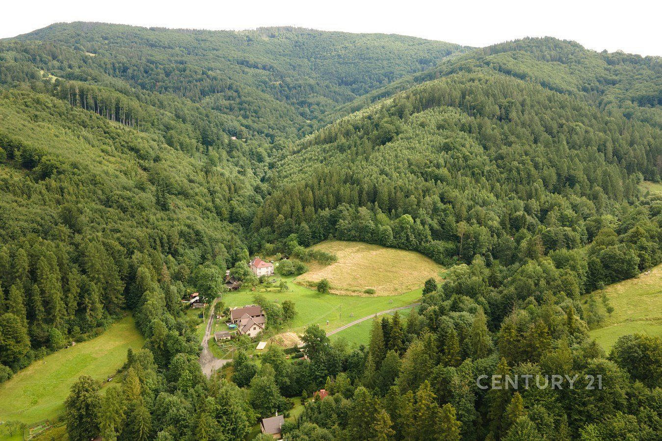 Prodej lesa 20 397 m² — photo 5