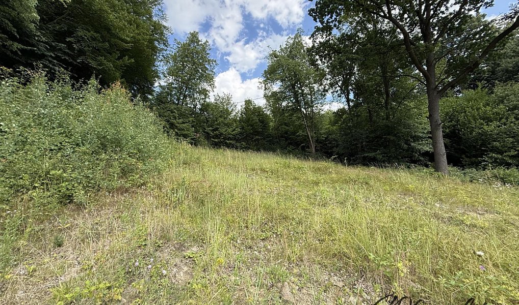 Prodej stavebního pozemku 2 186 m², Vsetín – náhled fotky 4