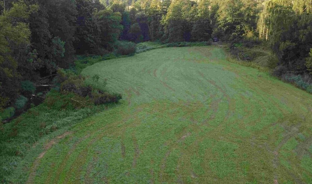 Prodej pole 9 377 m², Polná – náhled fotky 3