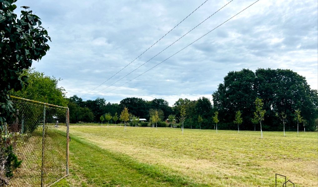 Prodej zahrady 1 611 m², Hodonín – náhled fotky 9