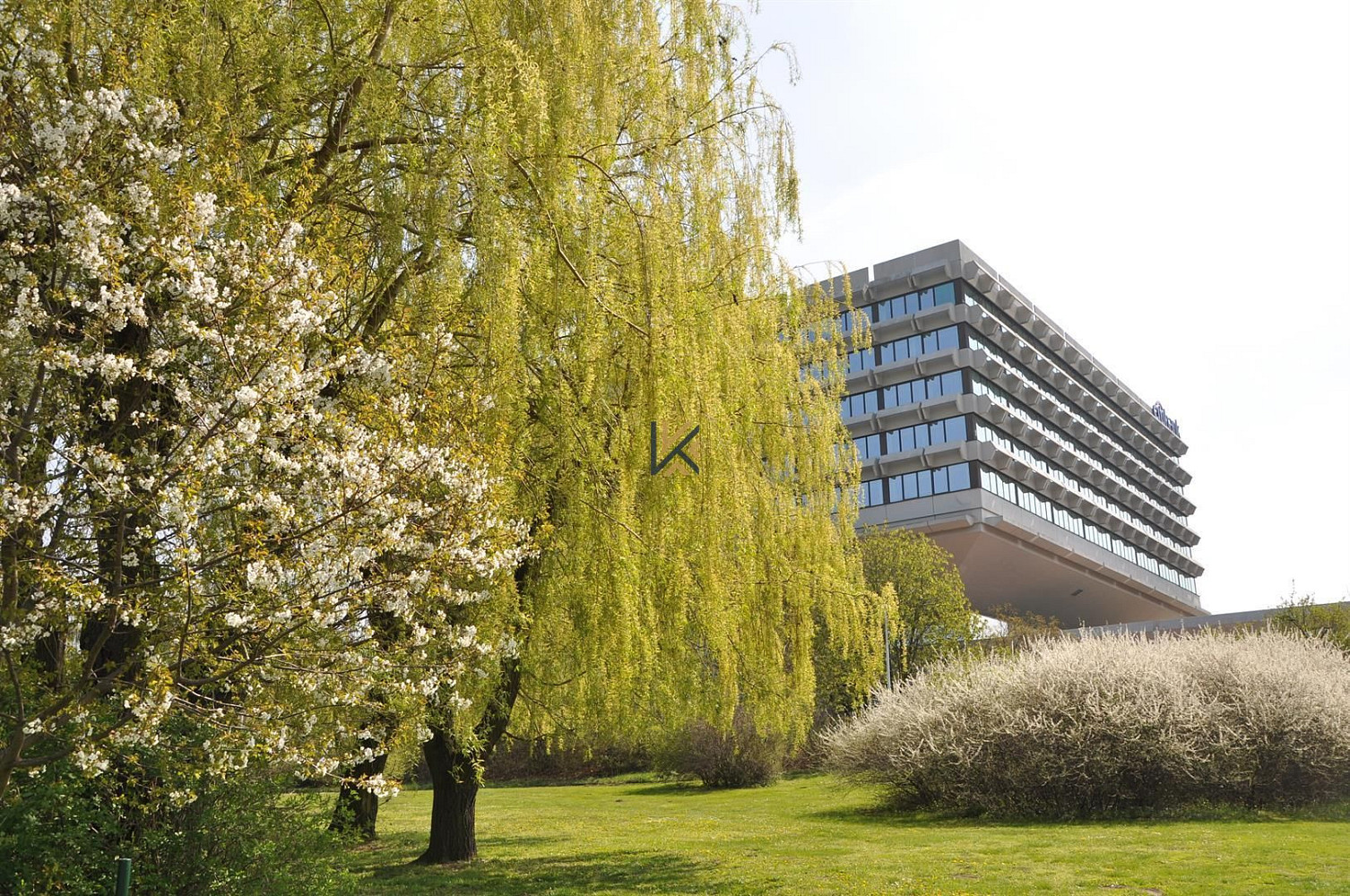 Pronájem kanceláře 277 m²