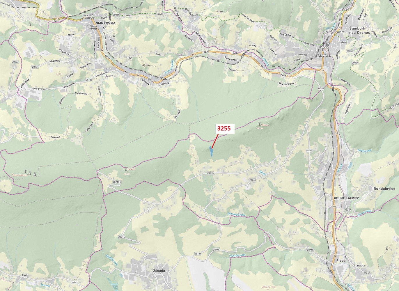 Dražba lesa 6 125 m²