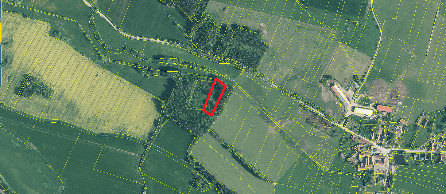 Prodej lesa 3 555 m² – fotografie 3