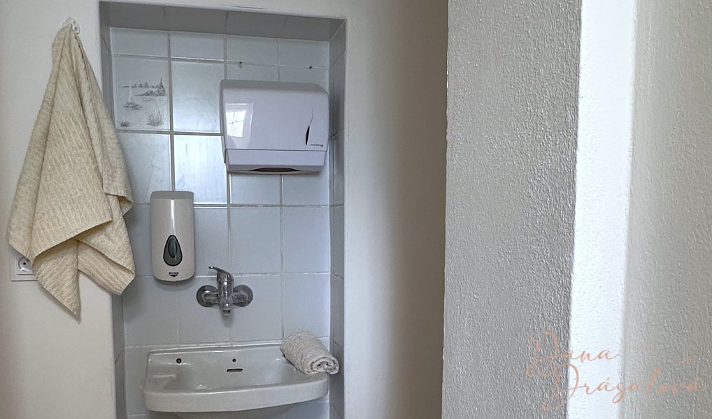Prodej domu 190 m² s pozemkem 236 m², Strachotín – náhled fotky 30