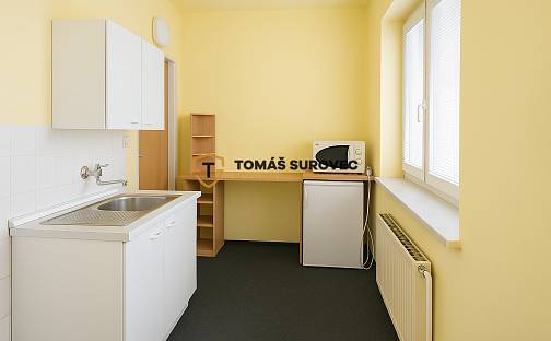 Pronájem bytu 1+1 28 m², Štefánikova, Zlín
