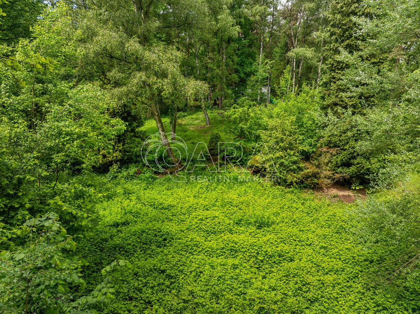 Prodej stavebního pozemku 5 519 m² – fotografie 4