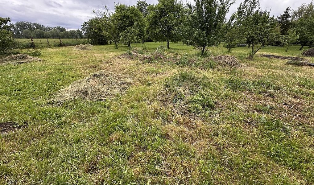 Prodej komerčního pozemku 644 m², Přerov – náhled fotky 5