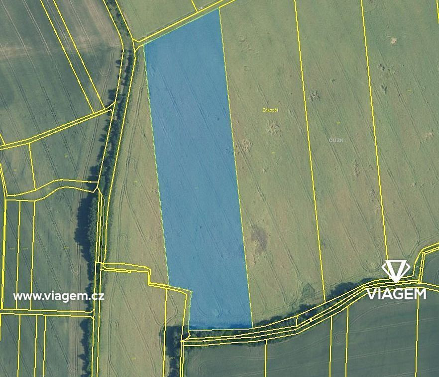 Prodej pole 4 917 m² – fotografie 3