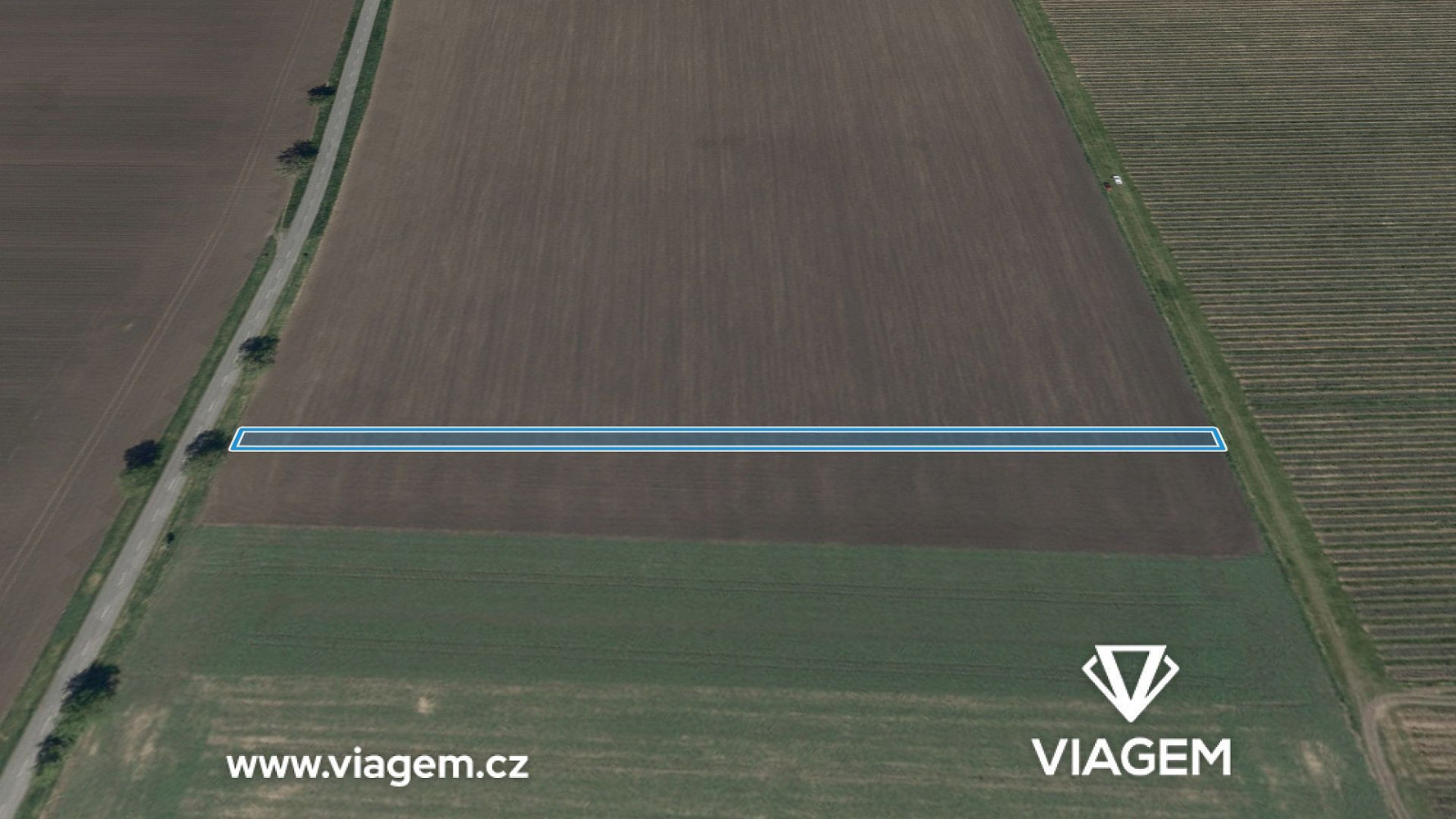 Prodej pole 1 481 m² – fotografie 2