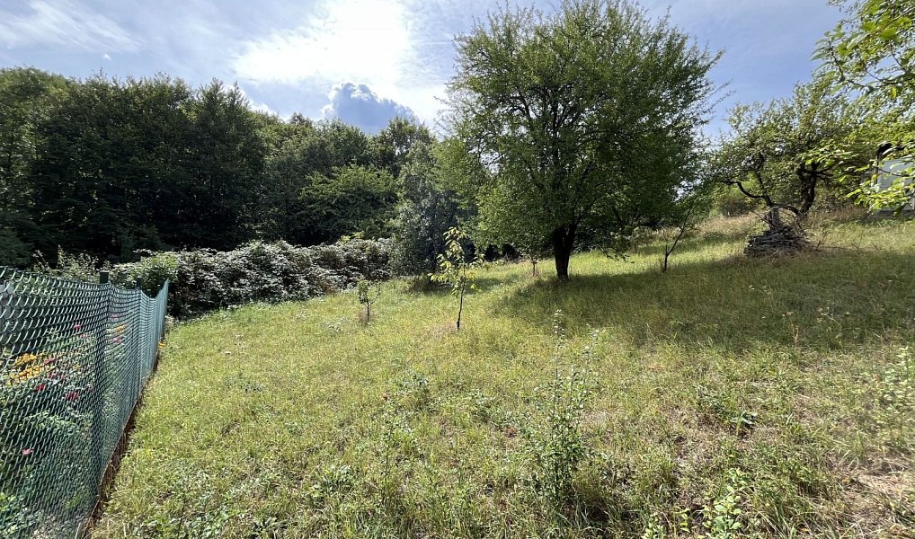 Prodej pozemku, 1379 m², Blansko, Olomučany
