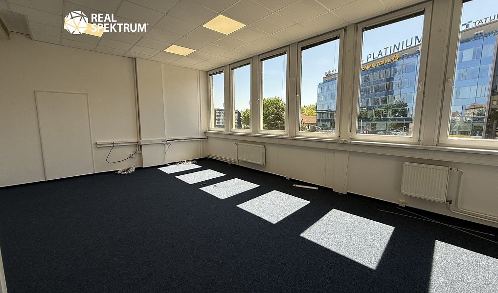 Pronájem kanceláře 110 m², Brno – náhled fotky 8