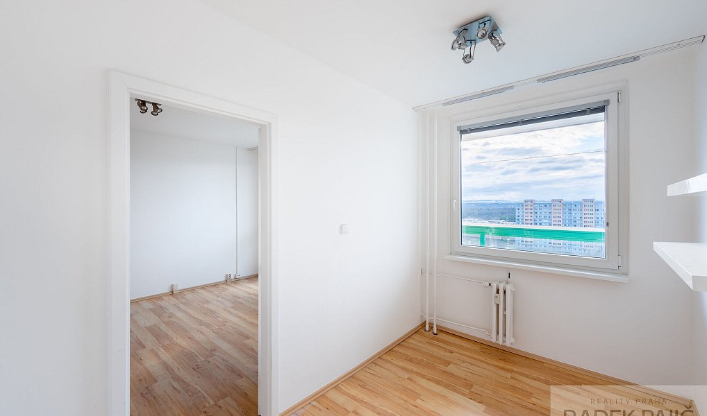 Pronájem bytu 1+1 48 m², Praha – náhled fotky 9