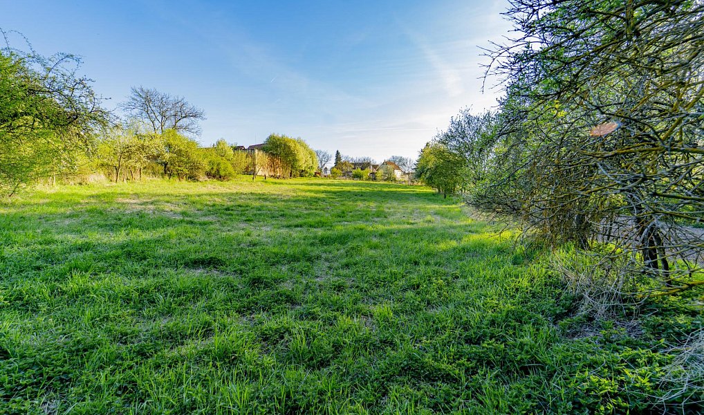 Prodej stavebního pozemku 3 831 m², Svojetín – náhled fotky 6