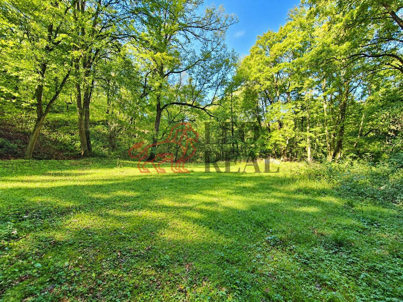 Prodej chaty/chalupy 30 m² s pozemkem 1 146 m² – fotografie 5