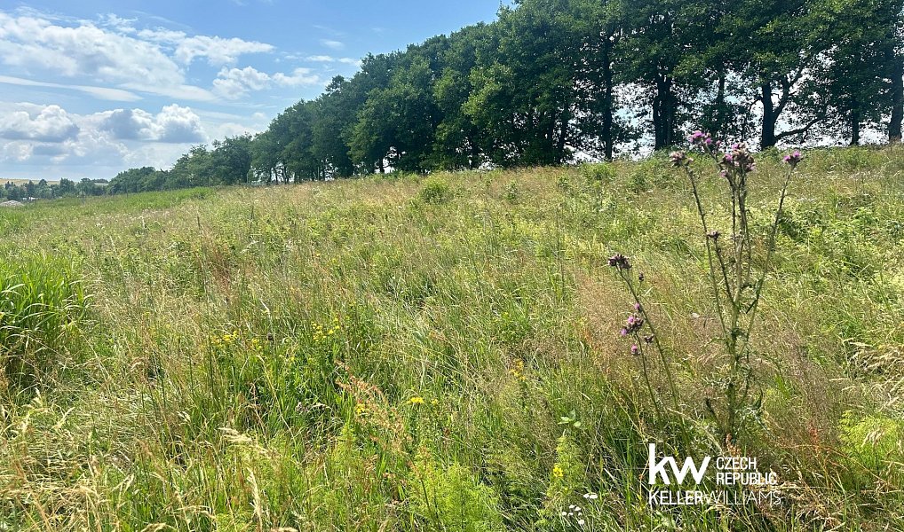 Prodej stavebního pozemku 1 006 m², Moldava – náhled fotky 9