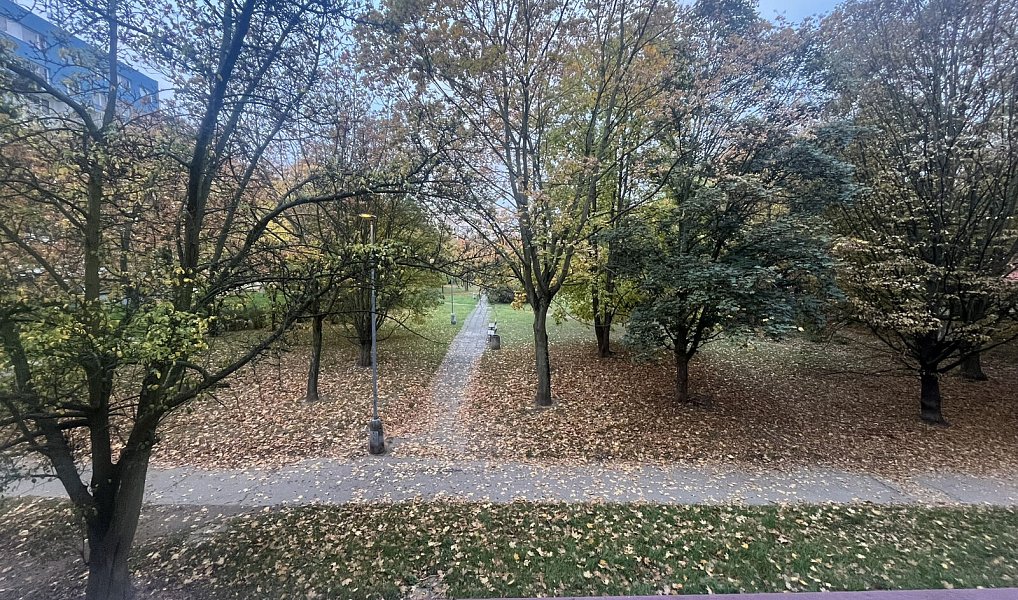 Pronájem bytu 1+kk 34 m², Kladno – náhled fotky 7