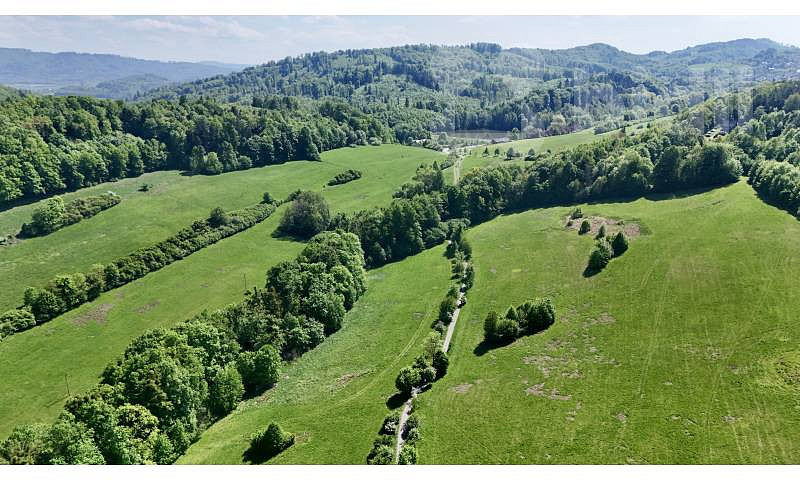 Prodej louky 7 411 m²