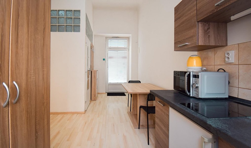 Pronájem bytu 2+1 45 m², Brno – náhled fotky 2